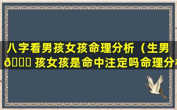 八字看男孩女孩命理分析（生男 🍀 孩女孩是命中注定吗命理分析）